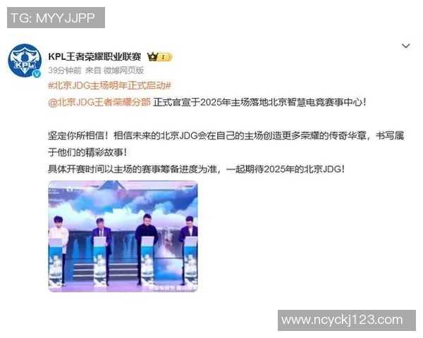 王者荣耀专题深度解析JDG战队的耐力与持久战策略