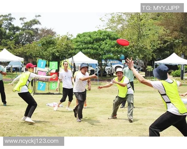 飞盘运动新风潮杭州飞盘队意识与团队精神的深度剖析