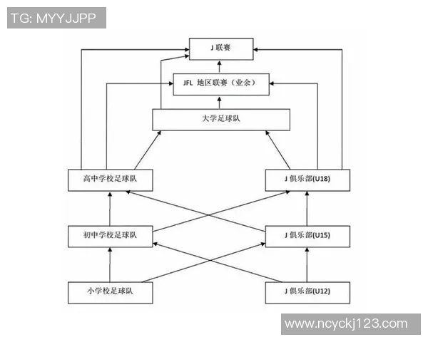 足球明星退役后的生活与职业发展探讨