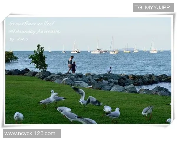 大洋洲足球明星的崛起与成就探索之旅